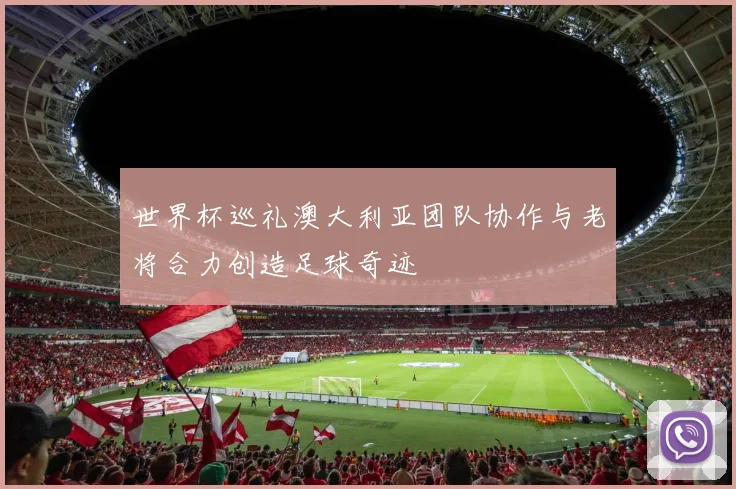 世界杯巡礼澳大利亚团队协作与老将合力创造足球奇迹