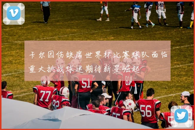 卡尔因伤缺席世界杯比赛球队面临重大挑战球迷期待新星崛起